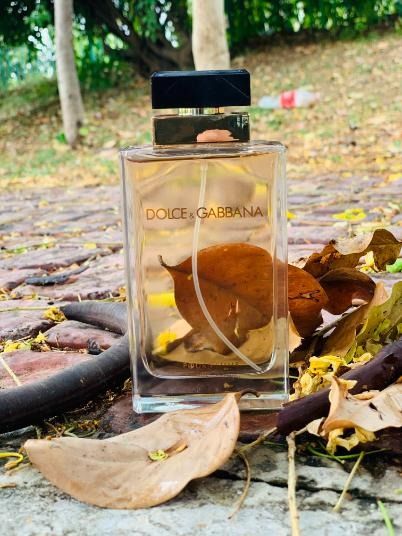 Dolce Gabbana Pour Femme 100ml EDT Perfume Minyak Wangi