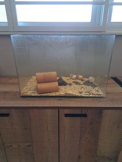 (Category: ) located in . Submitted by kiirin (Listing ID 1238093183, Image 1). Description: .