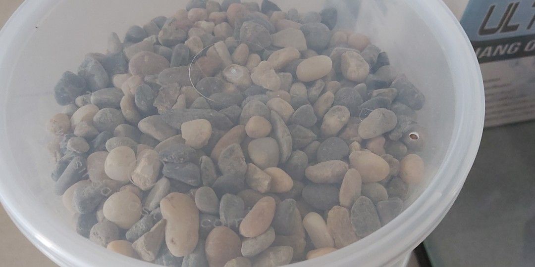 Fish Tank Set (Free gravels), Pet Supplies, Homes & Other Pet