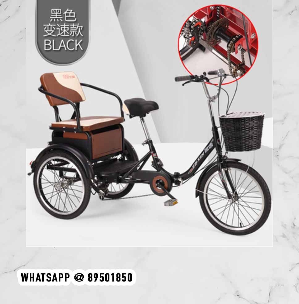 Electric tricycle on sale child carrier