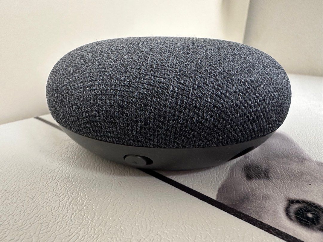 Mint google sales home mini