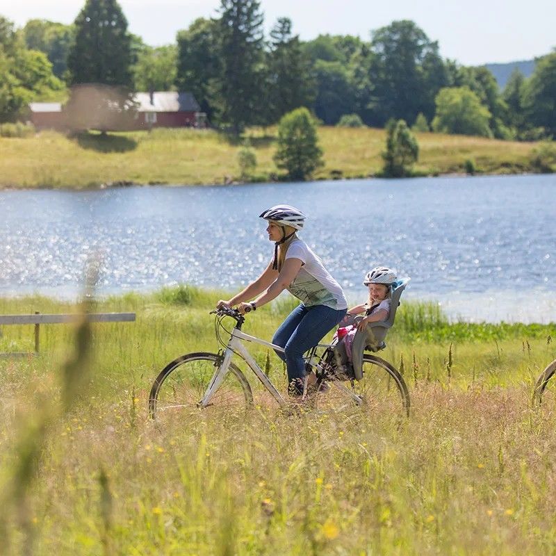HAMAX Sleepy Bicycle Child Seat, Babies & Kids, Going Out, Car Seats on ...