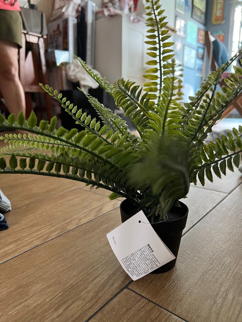 IKEA artificial plants, Furniture & Home Living, Home Decor, Artificial