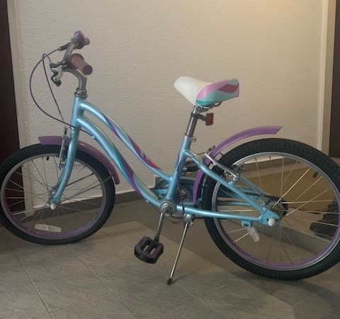 Liv Giant 20