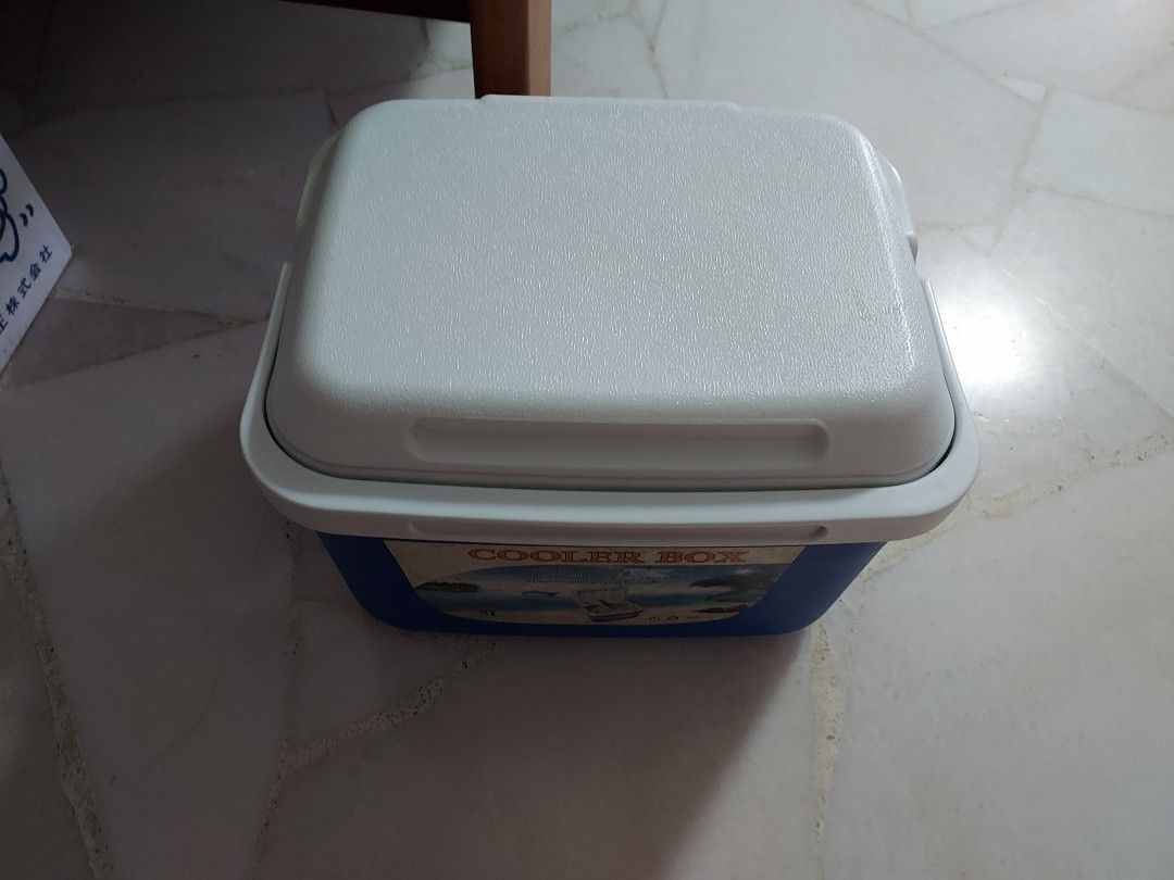 Mini Cooler box, Sports Equipment, Hiking & Camping on Carousell