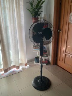 (Category: ) located in . Submitted by annsxavier (Listing ID 1238147564, Image 1). Description: .