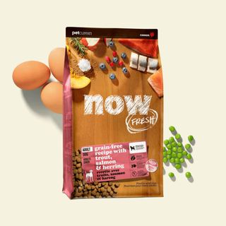 （分類：）位於 。 由 lovelypetsbase 提交（商品編號 1238068908，圖片 1）。簡介： 。