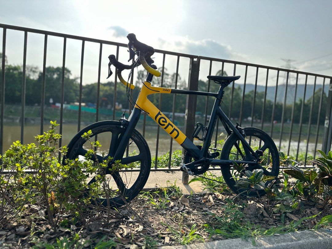 TERN SURGE PRO 52 小輪徑, 運動產品, 單車及配件, 單車- Carousell