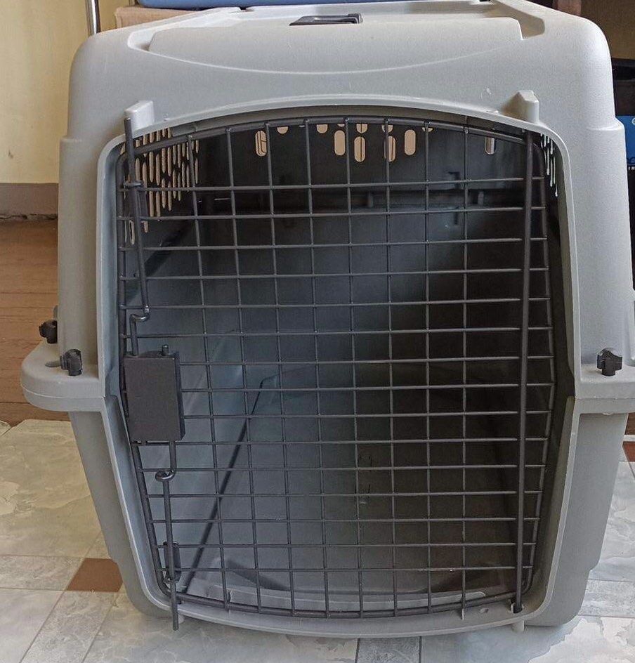 Used Dog Crate (Large) on Carousell