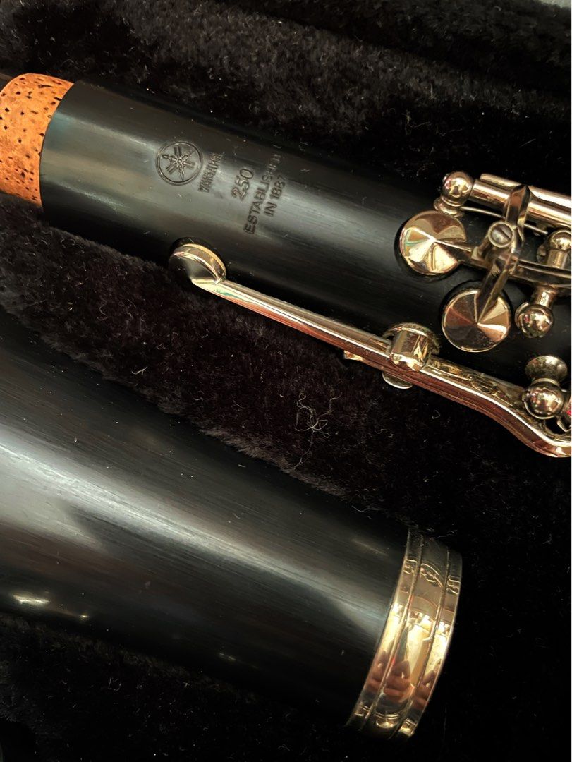 Yamaha YCL250, 興趣及遊戲, 音樂、樂器 & 配件, 樂器 Carousell