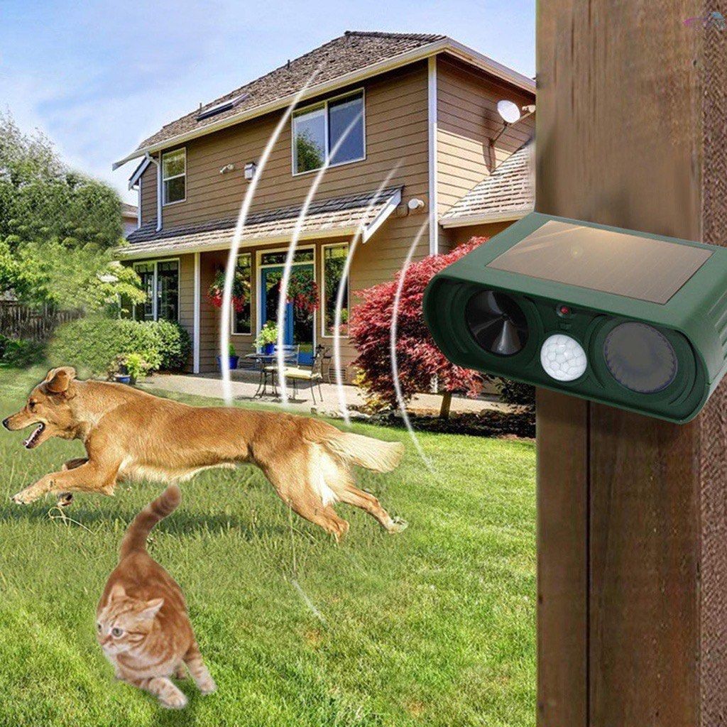 Electronic dog best sale repeller for yard