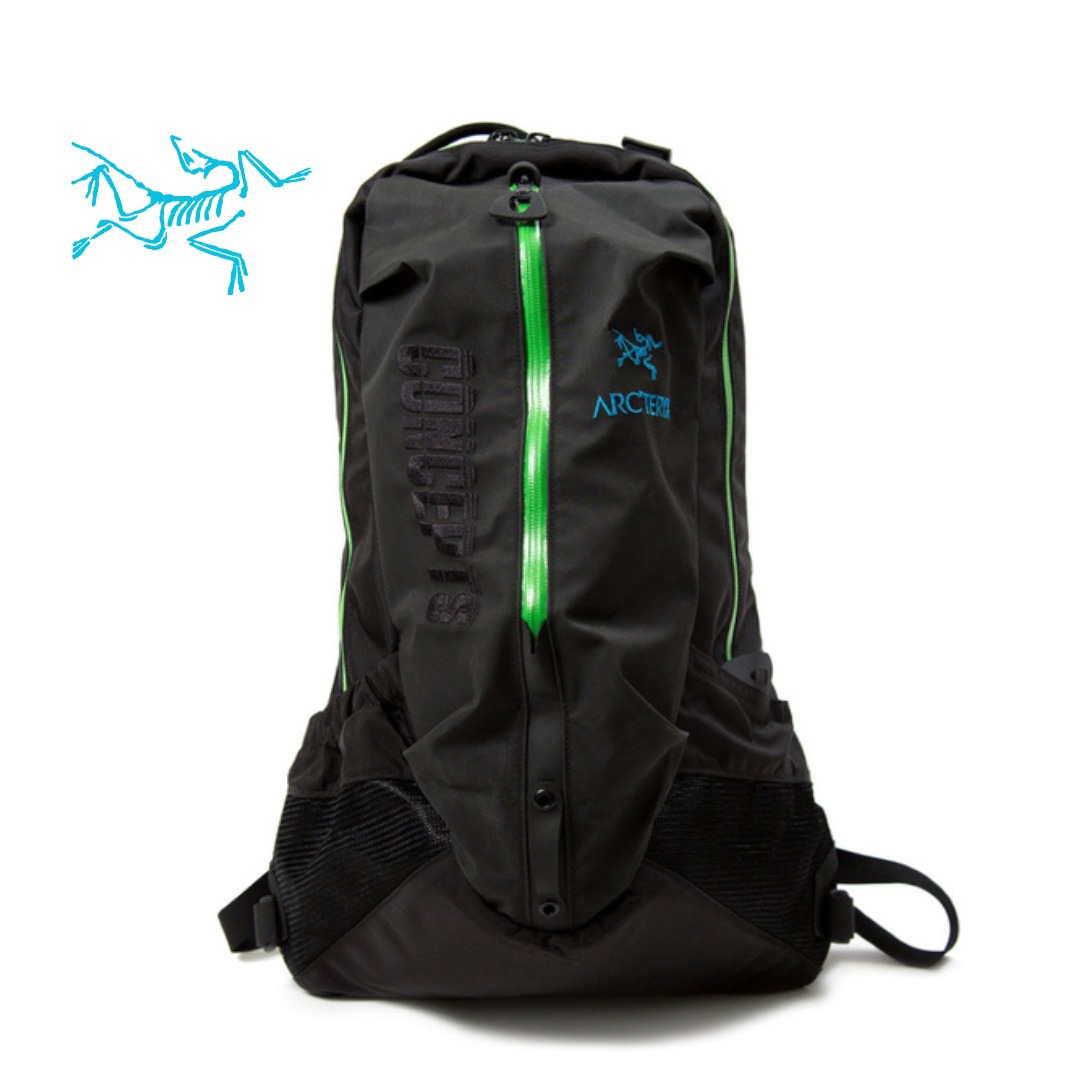 Arc'teryx Arro 22 Backpack Black II One Size