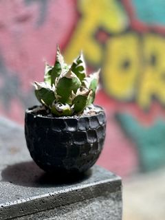 （分類：）位於 。 由 muddomai 提交（商品編號 1238287443，圖片 1）。簡介： 。