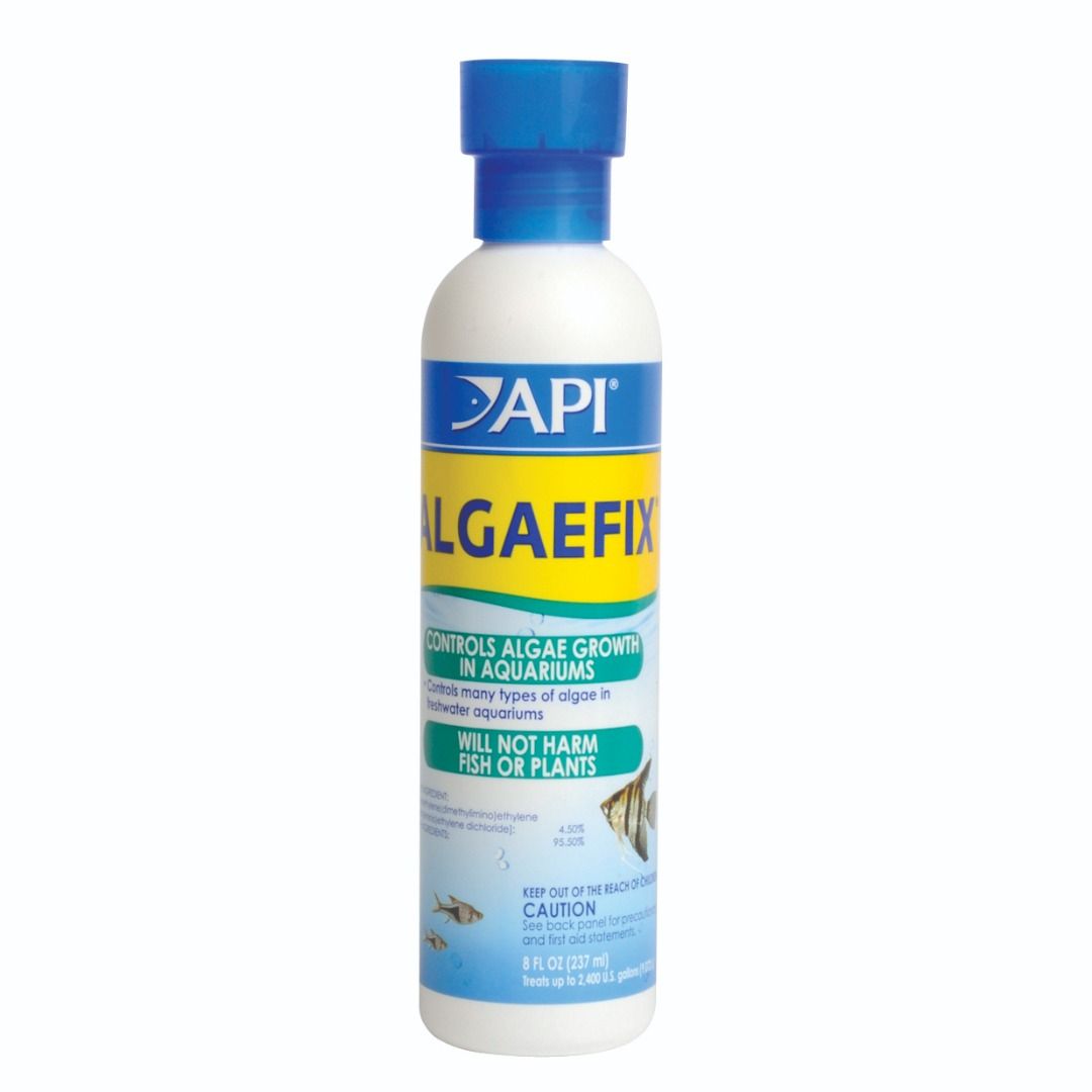Aquarium algaecide outlet