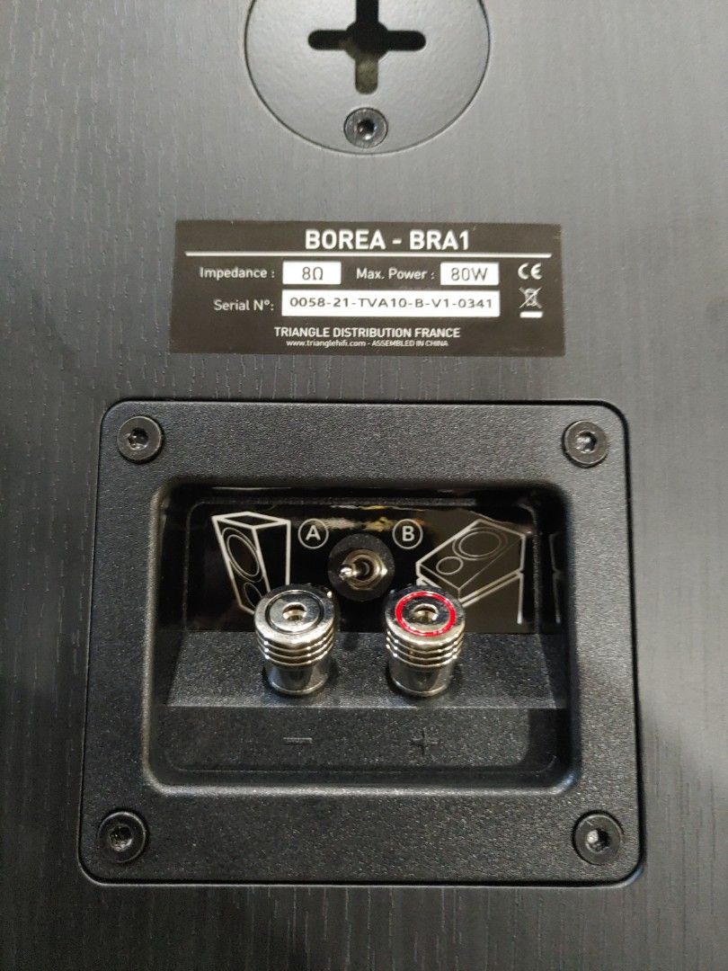 Home Theater Dolby Atmos DTSX / Surround Rear Speaker (Black), Audio