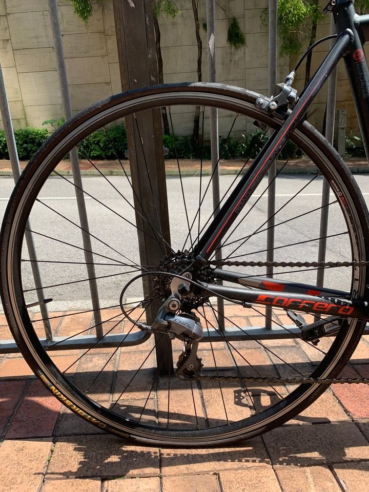 Carrera mens road online bike