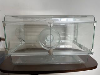 （分類：）位於 。 由 bekay6668 提交（商品編號 1238317521，圖片 1）。簡介： 。