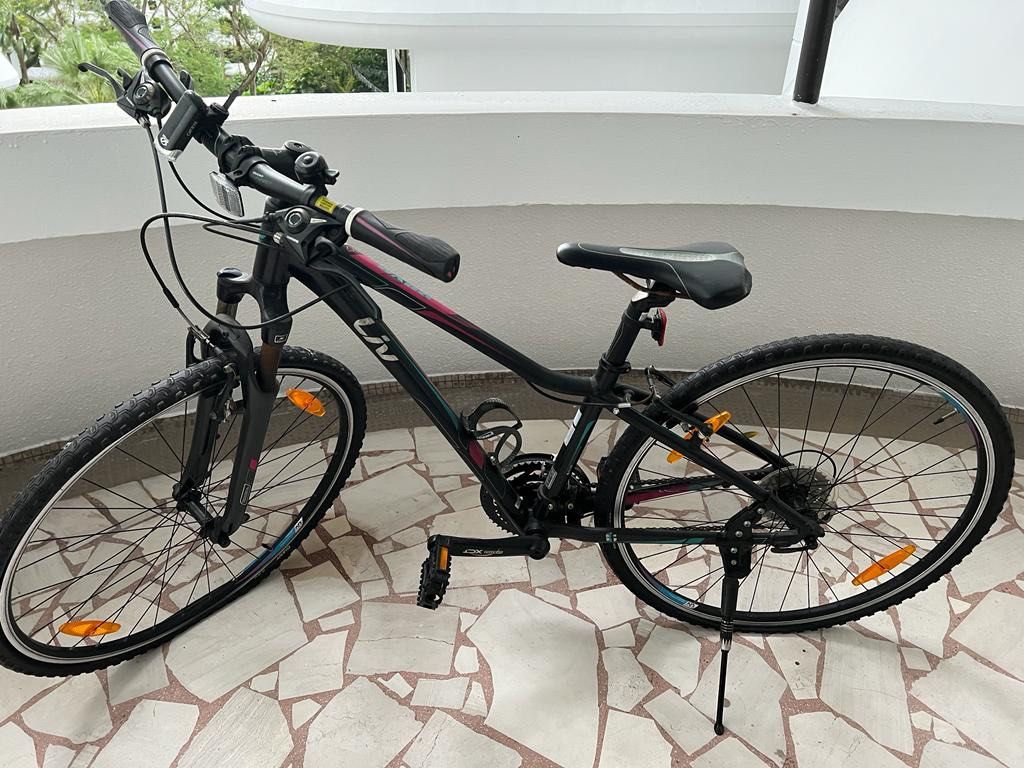 Liv rove 2025 3 bike