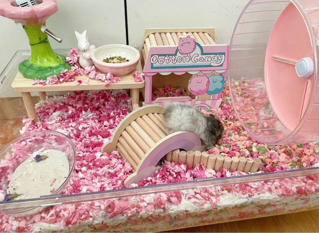 Hamster Cage Interior Design Ideas Reference: Hamster Acrylic Cage Pet Supplies Homes Other Pet Accessories On