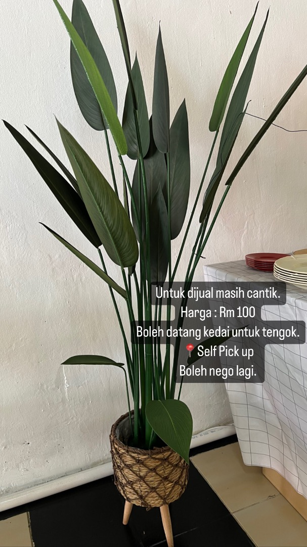 Hiasan Pokok, Furniture & Home Living, Gardening, Pots & Planters on