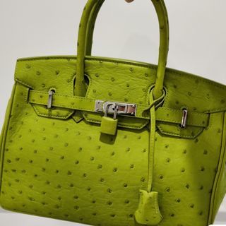 Hermes New Birkin 25 Parchmin in Ostrich , PHW, Stamp Y, Luxury, Bags &  Wallets on Carousell