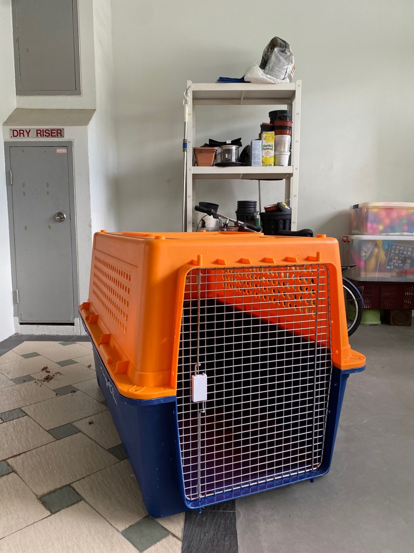 Pp90 deals dog crate