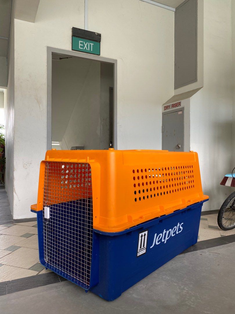 PP90 Pet Carrier / Crate Large, Pet Supplies, Homes & Other Pet Accessories on Carousell