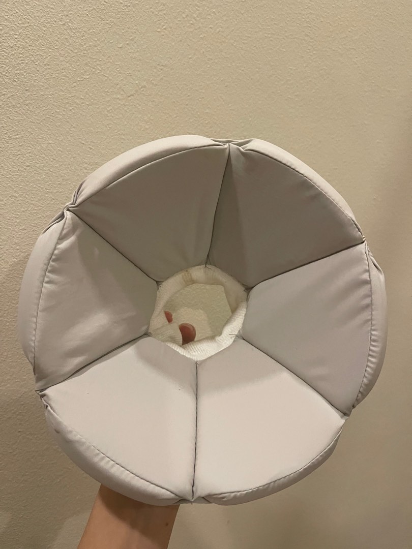 Soft Cone for Cat, Pet Supplies, Health & Grooming on Carousell