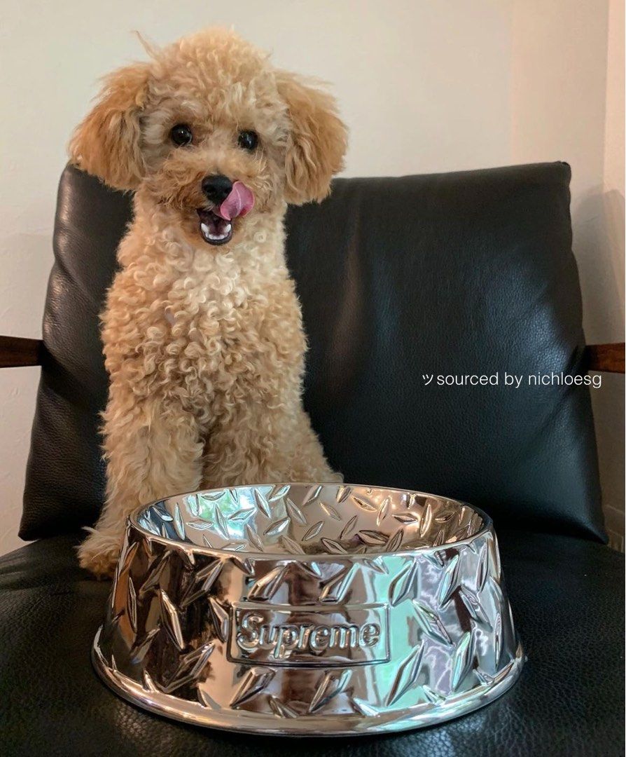 SUPREME DIAMOND PLATE DOG BOWL, Pet Supplies, Homes & Other Pet