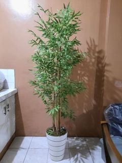 (Category: ) located in . Submitted by ad3lynn3 (Listing ID 1238257521, Image 1). Description: .