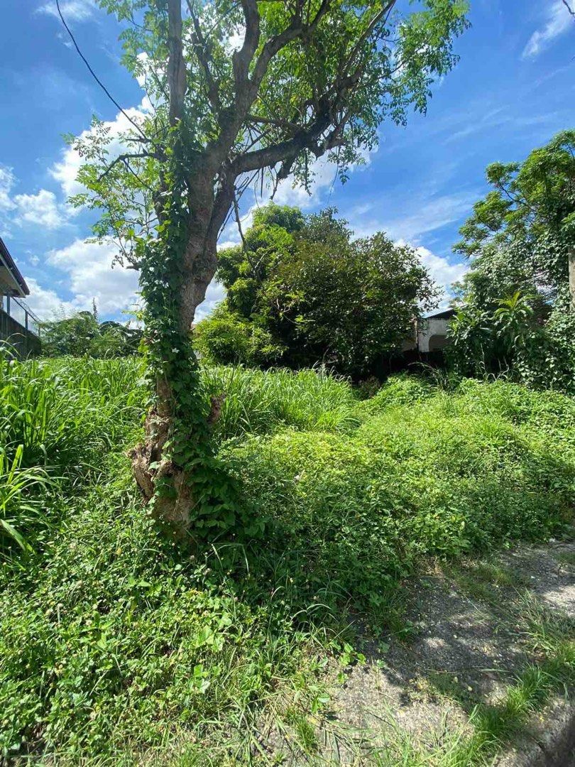 Tierra Verde 2 Subivision Quezon City, Property, For Sale, Lot on Carousell