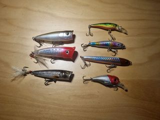 (Category: ) located in . Submitted by 123fishingsmurf (Listing ID 1238349658, Image 1). Description: .