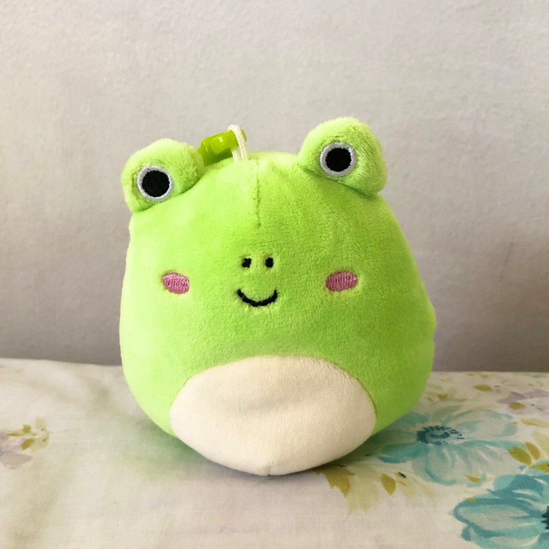 Wendy the frog squishmallows keychain clips, Hobbies & Toys, Toys
