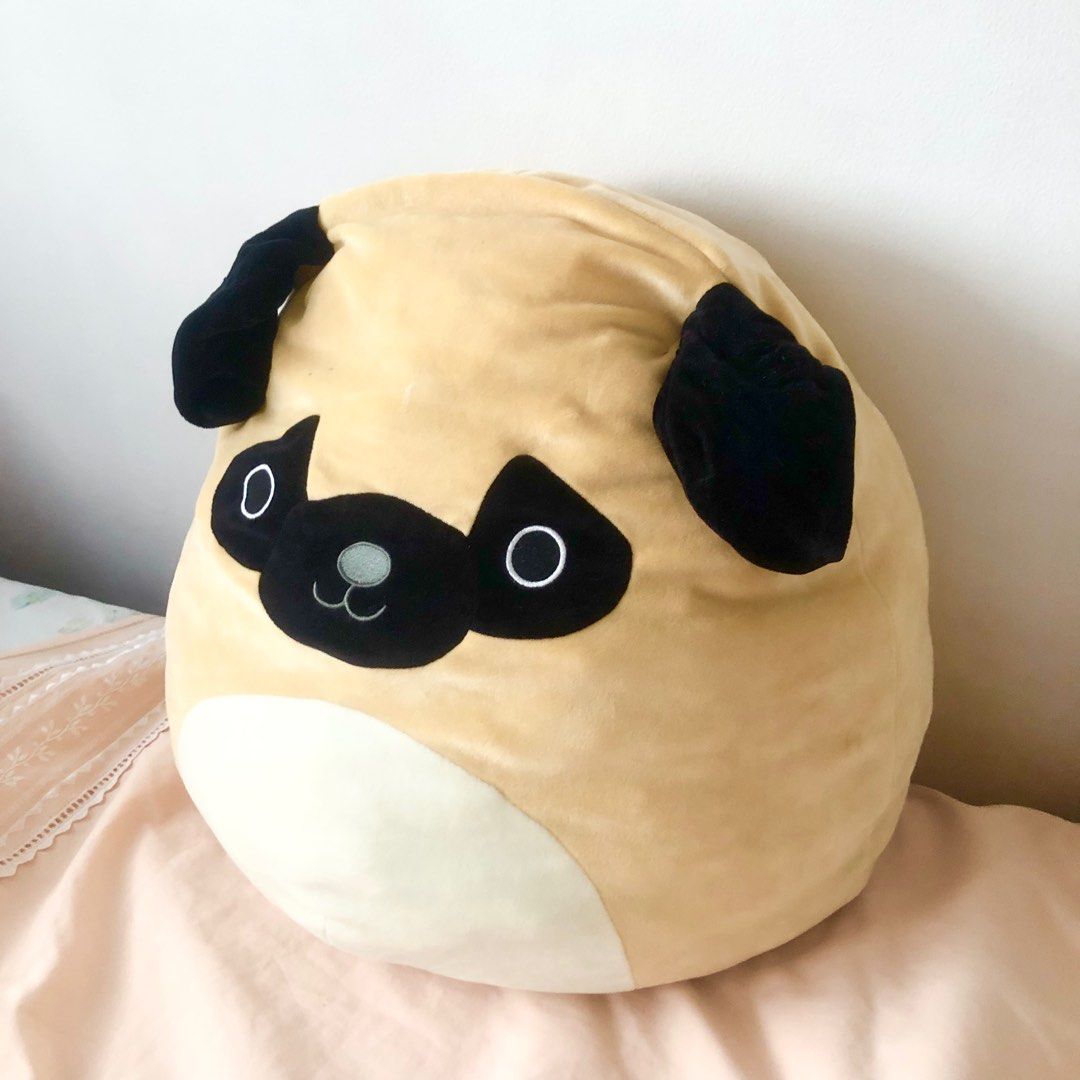 Pug hot sale squishmallow 16