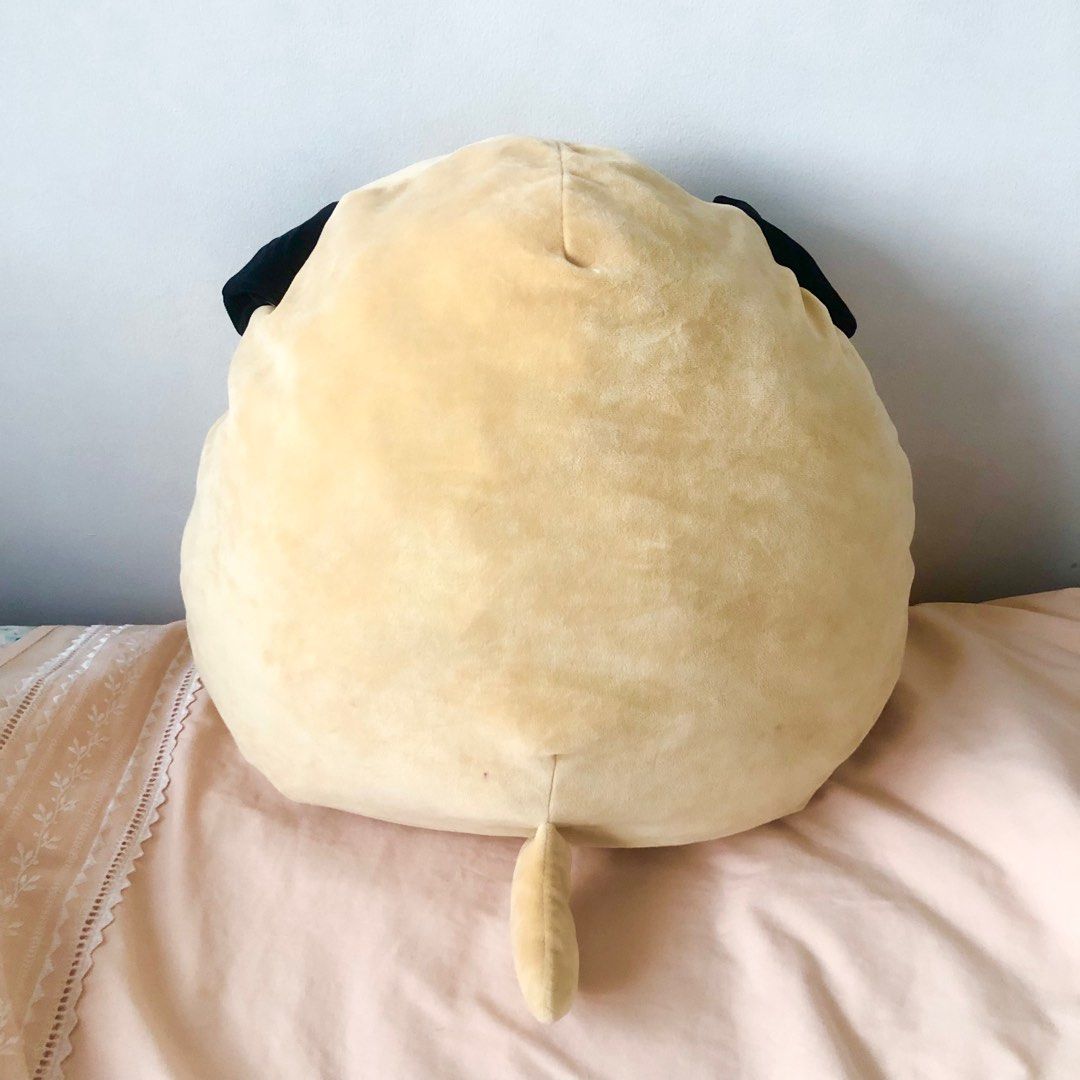 Pug squishmallow deals 16