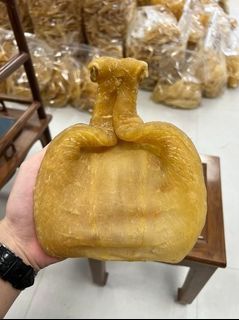 在線收購靚花膠 金錢膠 蜘蛛膠 印尼白花膠 石肚赤嘴 台山赤嘴 紅雞赤嘴 魚膠