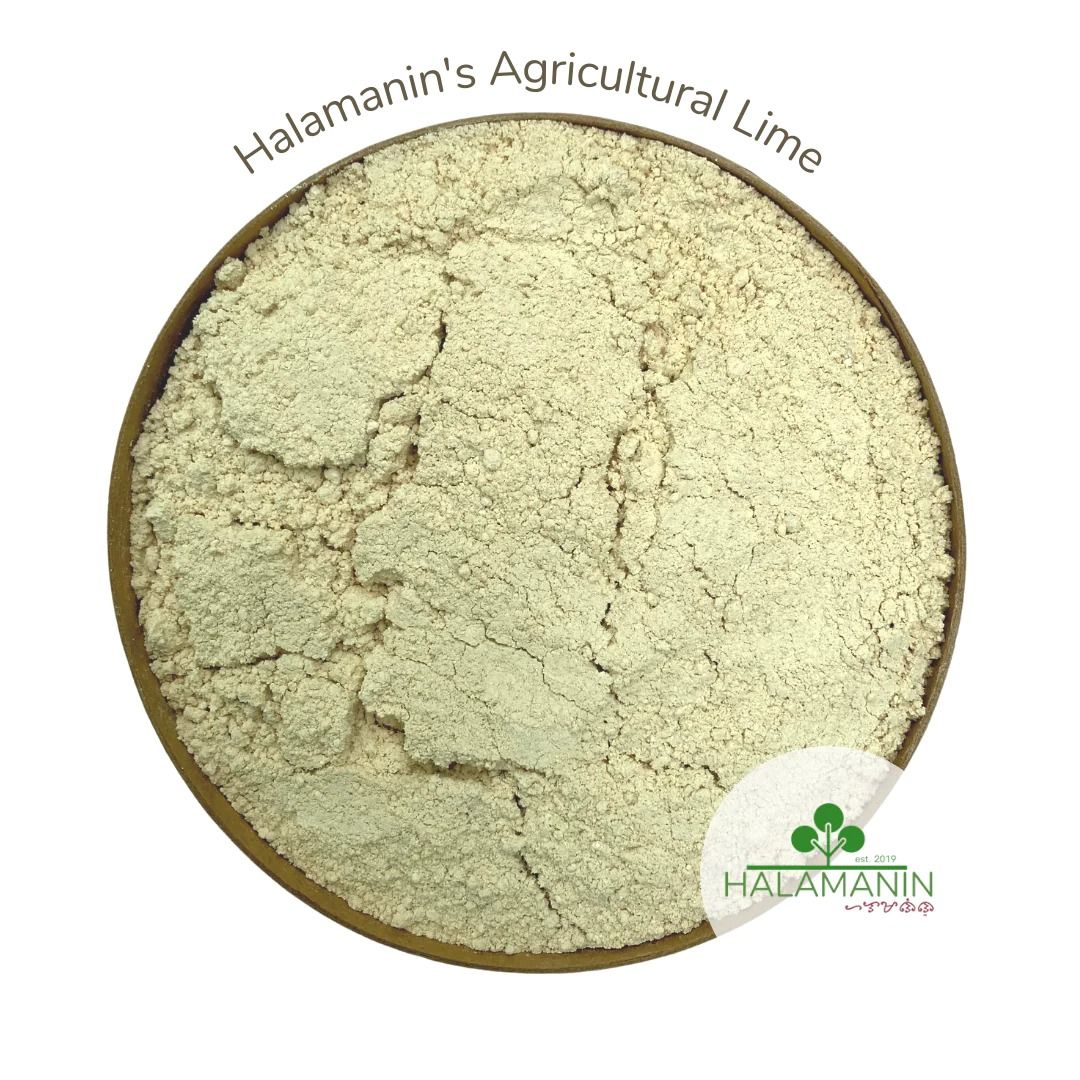 Agricultural Lime (Calcium Carbonate) 40kgs Sack, Furniture & Home