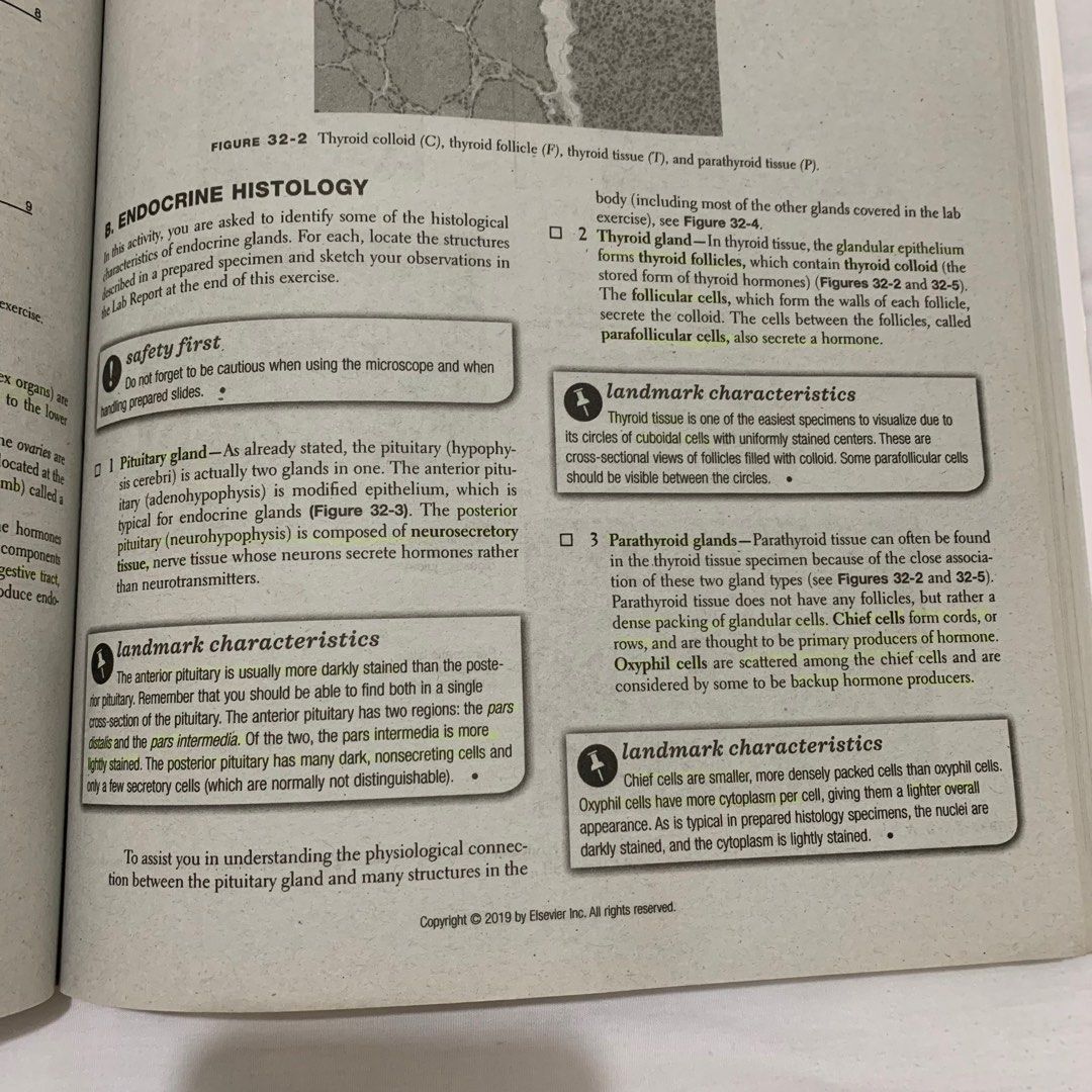 Anatomy & Physiology Lab Manual 10th edition Kevin T. Patton, Hobbies