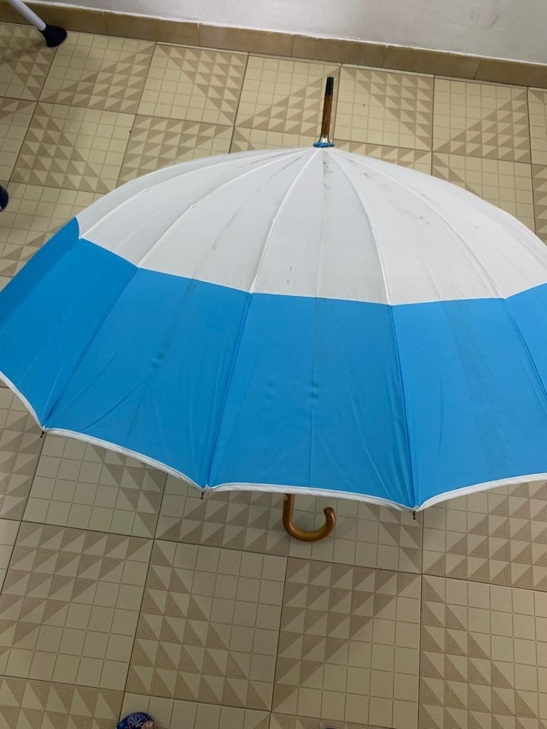 Blue & White Umbrella, Hobbies & Toys, Travel, Umbrellas on Carousell