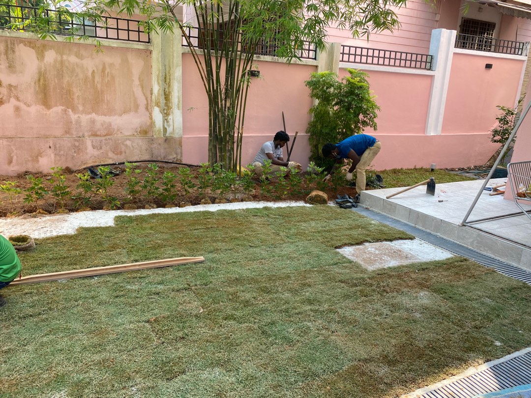 Carpet Grass Turfing, Furniture & Home Living, Gardening, Grass Mowers