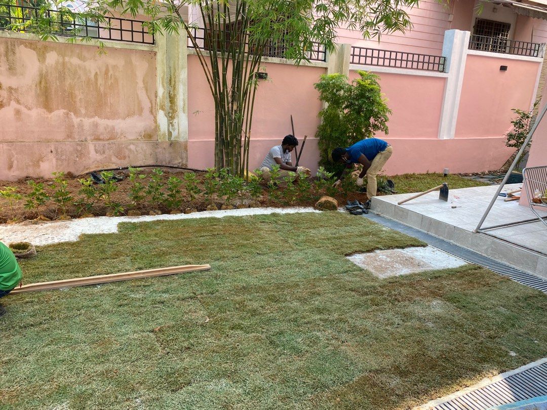 Carpet Grass Turfing, Furniture & Home Living, Gardening, Grass Mowers