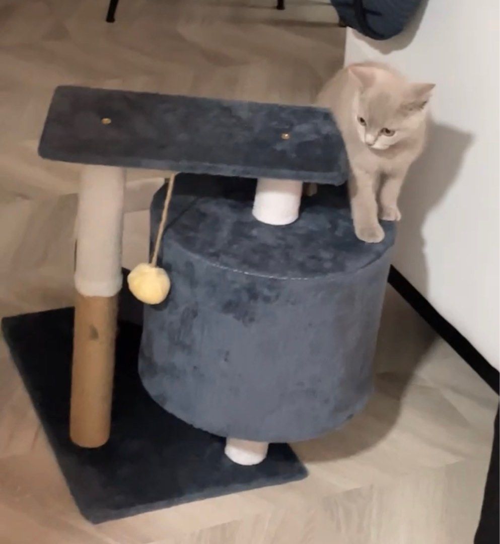 Cat craft cat tree accessories deals