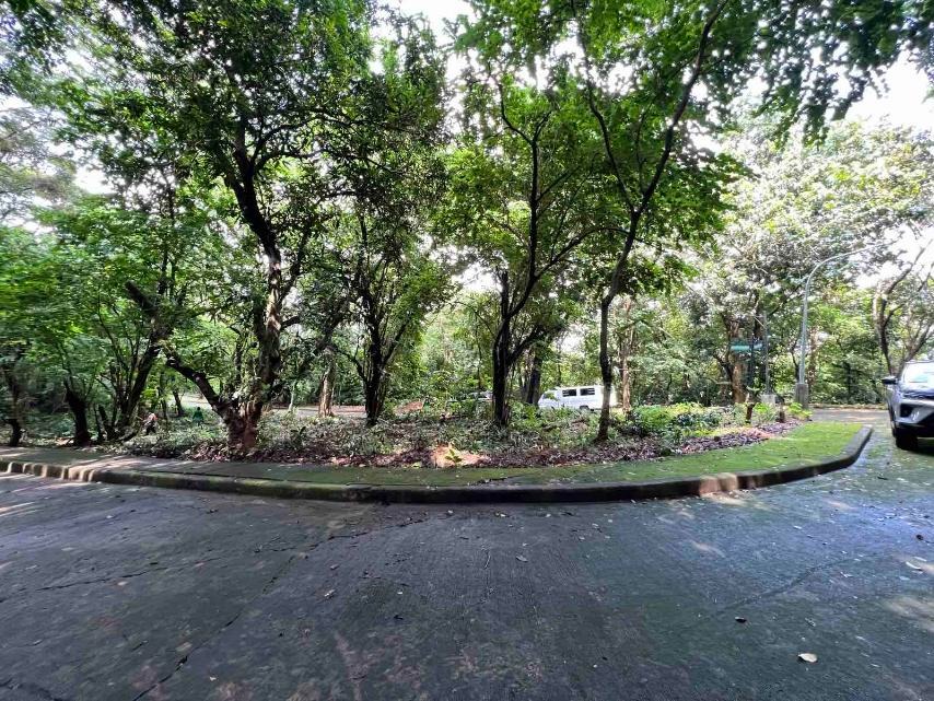 (Category: ) located in . Submitted by rizandungganon.theleadrealty (Listing ID 1235218733, Image 1). Description: .