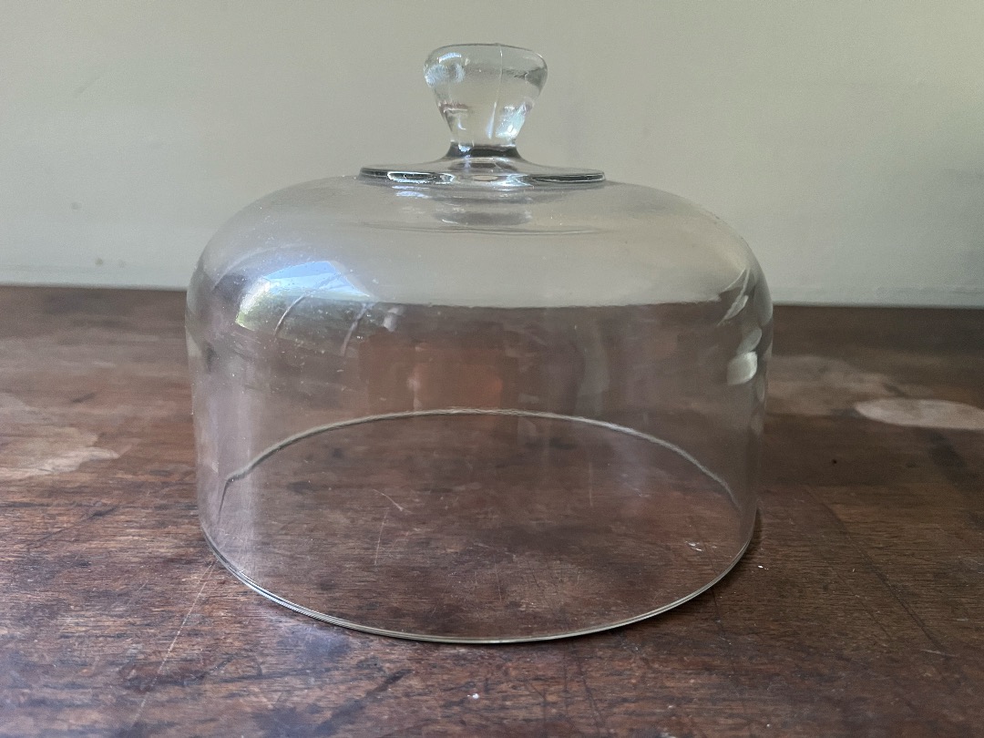 Glass Cheese Dome, Furniture & Home Living, Kitchenware & Tableware