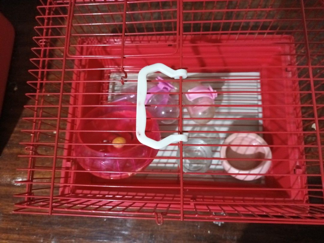 Hamster cage on Carousell