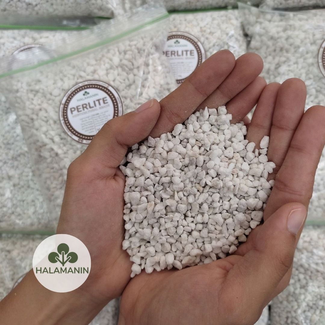 Horticultural Grade Perlite - 90 Liters (Sack), Furniture & Home Living ...