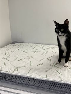 （分類：）位於 。 由 pkalann 提交（商品編號 1235261442，圖片 1）。簡介： 。