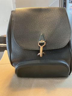 Louis Vuitton Taiga Leather Cassiar Backpack, Women's Fashion, Bags &  Wallets, Backpacks on Carousell