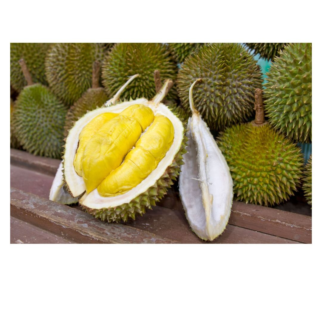Mao Shan Wang 猫山王 MSW Durian, Food & Drinks, Fresh Produce on Carousell