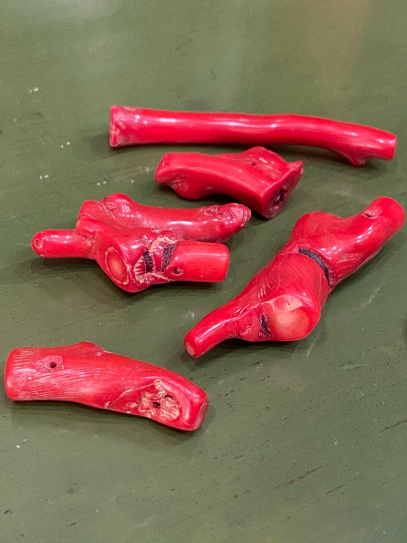 Real red coral hot sale